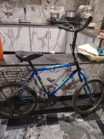 cycle phonix