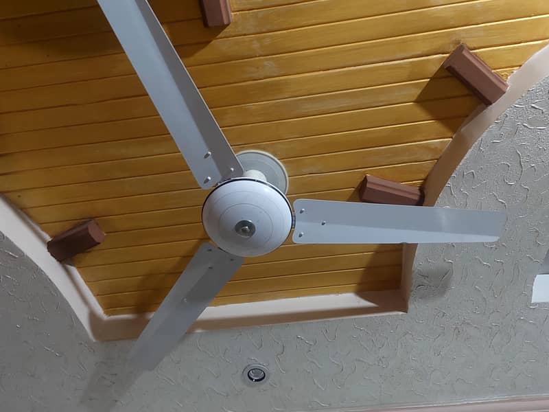 ceiling fan 1