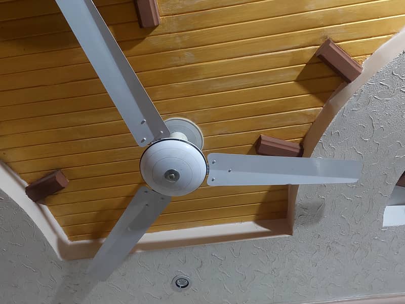 ceiling fan 2
