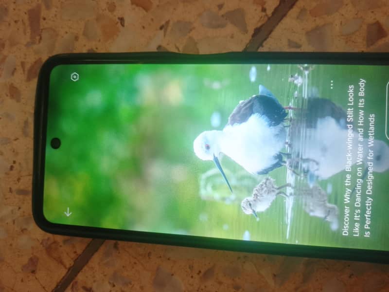 mobile available 1