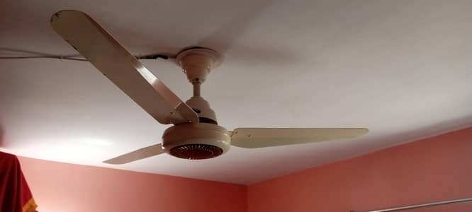 RADO Fan