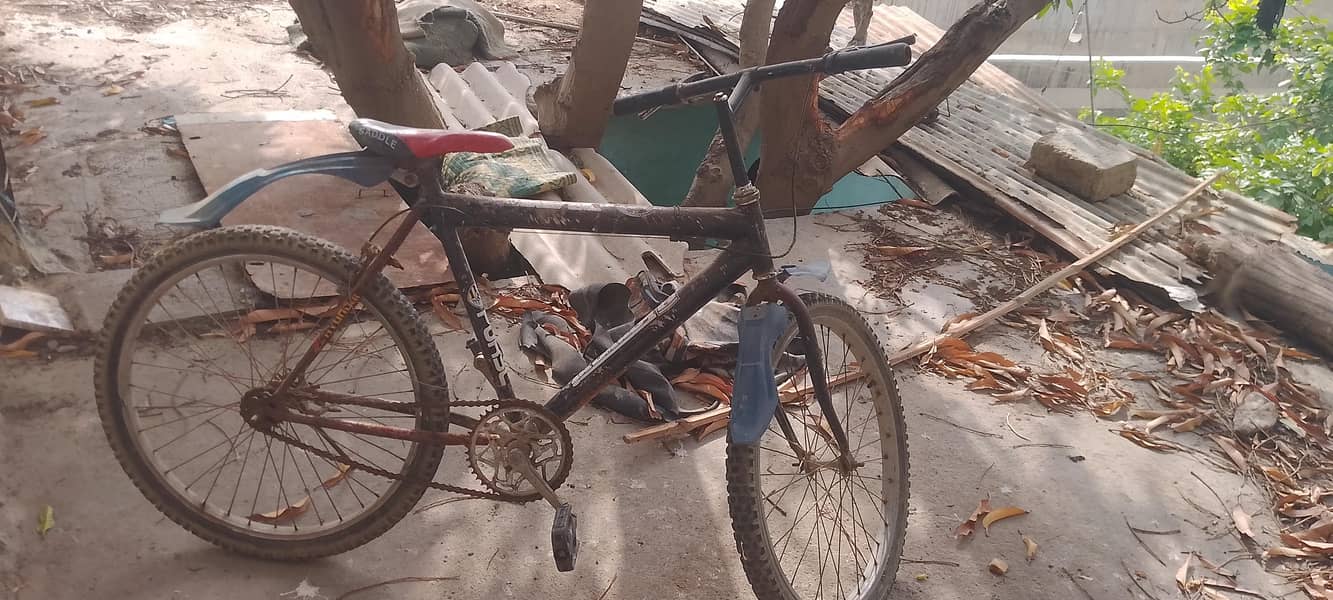 cycle 0