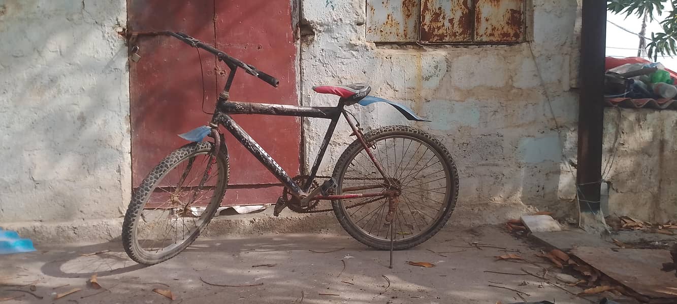 cycle 4