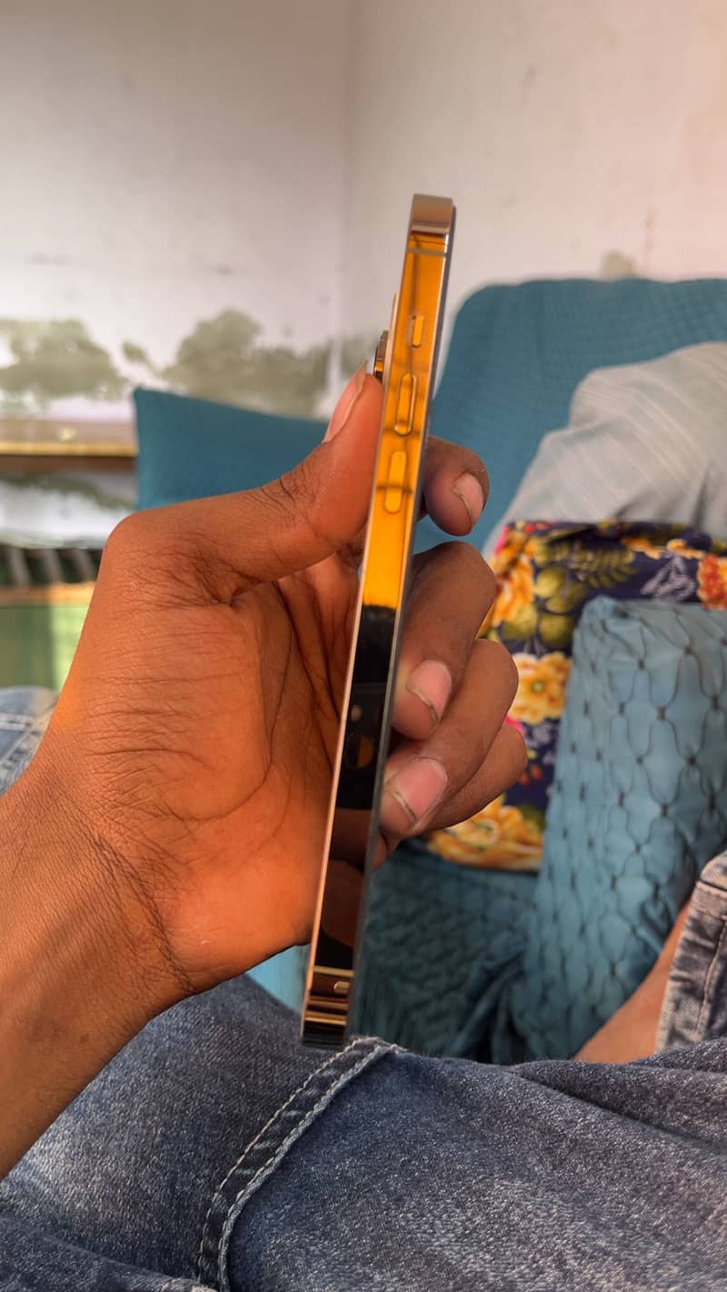 Iphone 14 Pro Max 4