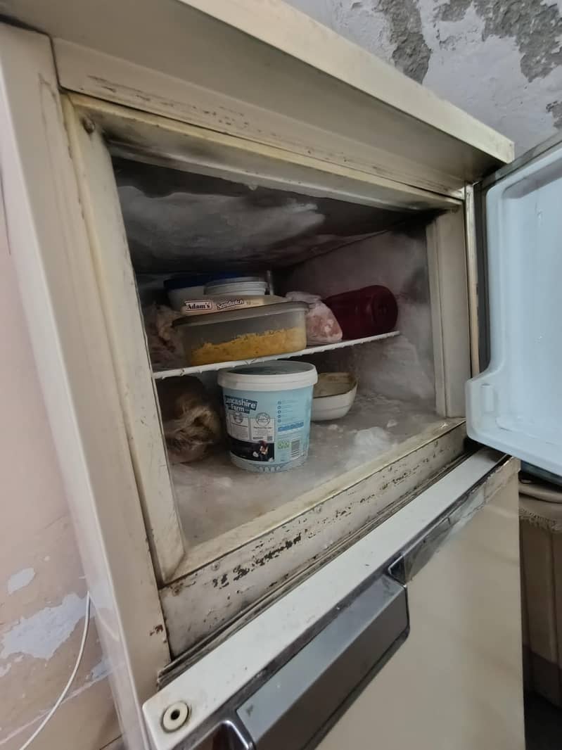 Philips Refrigerator 3