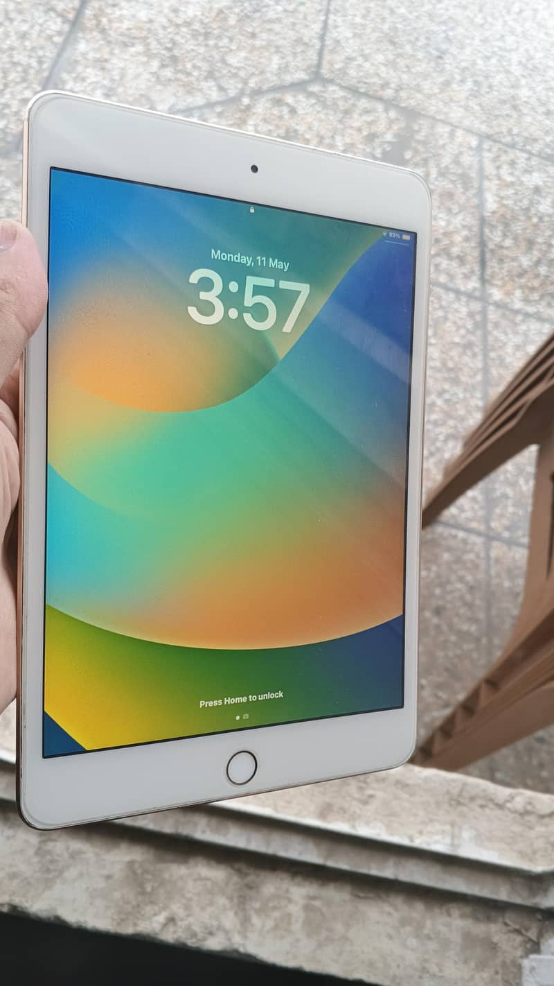 ipad mini 5 0