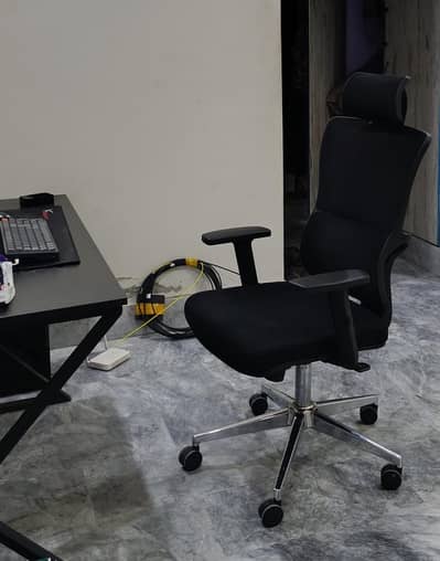 Ergonomic Executive Chair