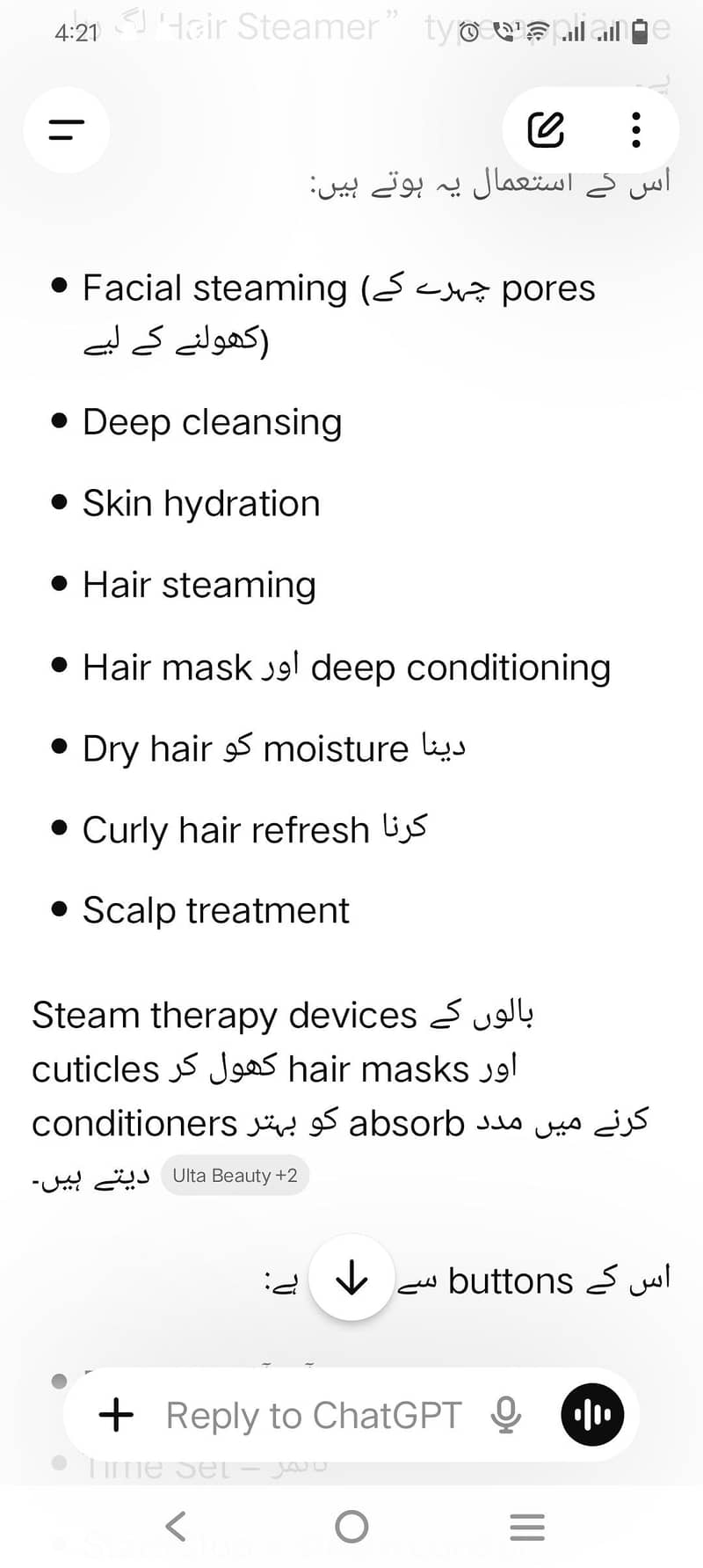 face steamer 2