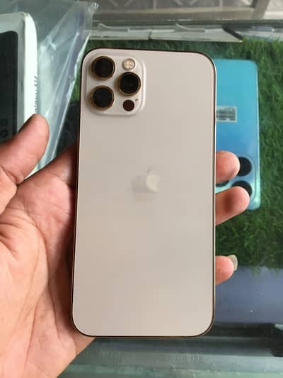 iPhone 12 Pro