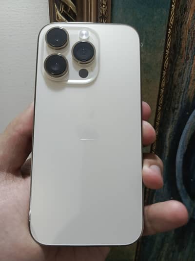 14 Pro Gold PTA Approved