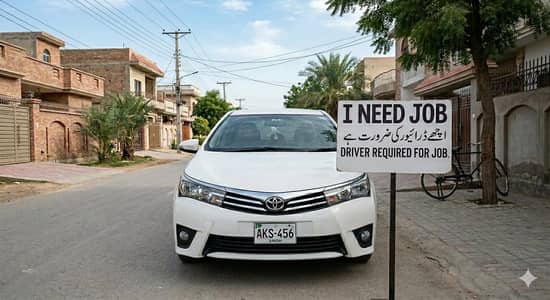 I need driver job
