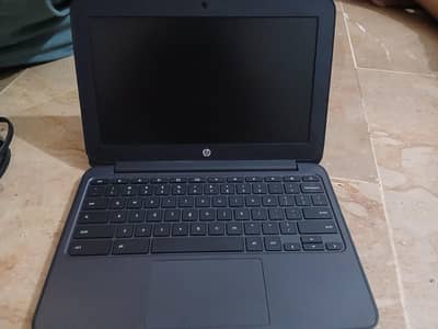 hp chrome book