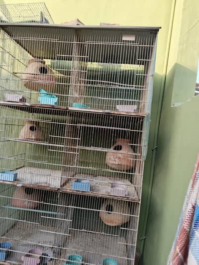 big size cage for birds
