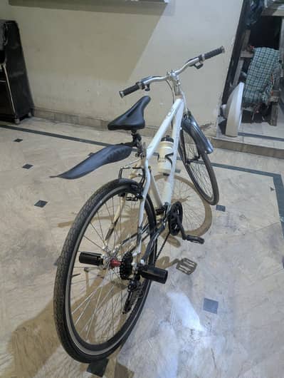 road bicycle
