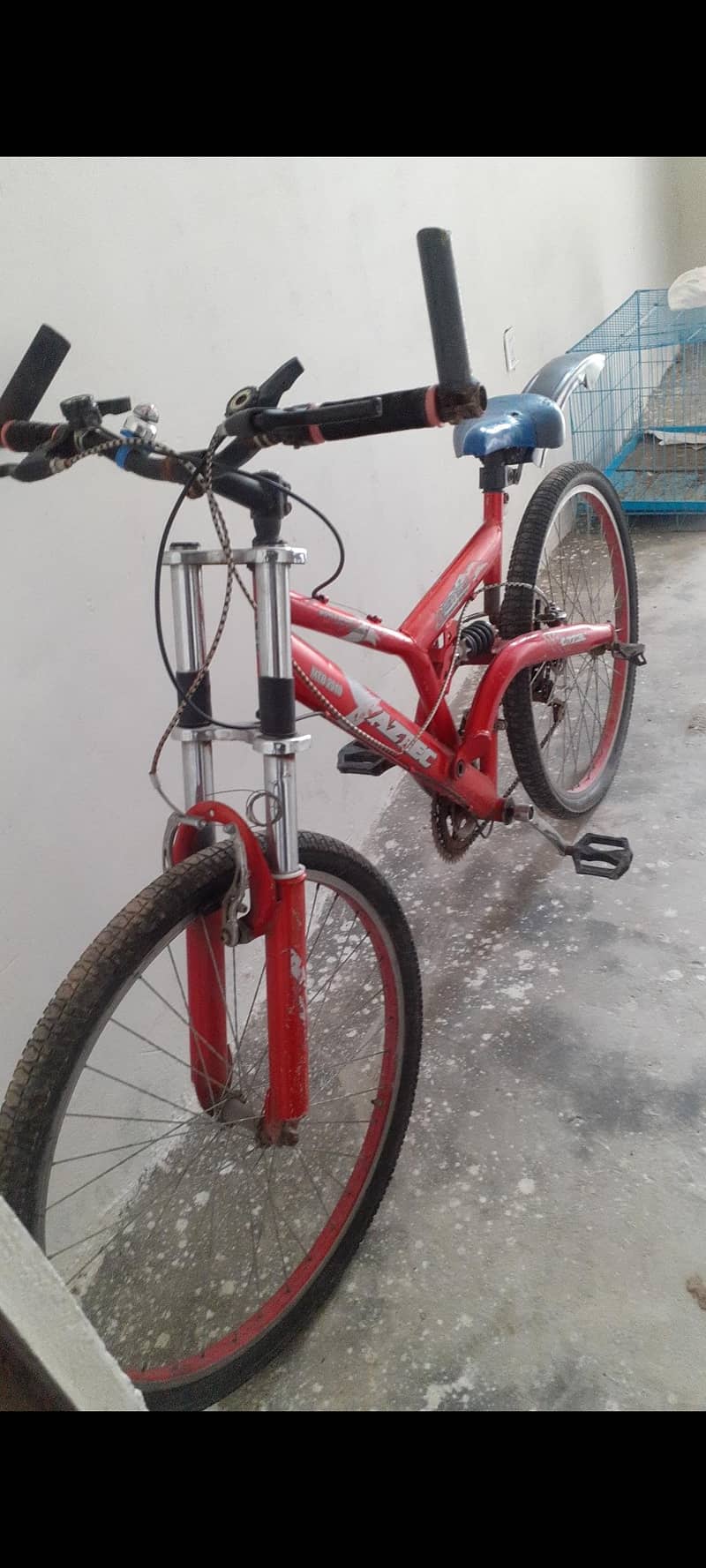 Cycle 2