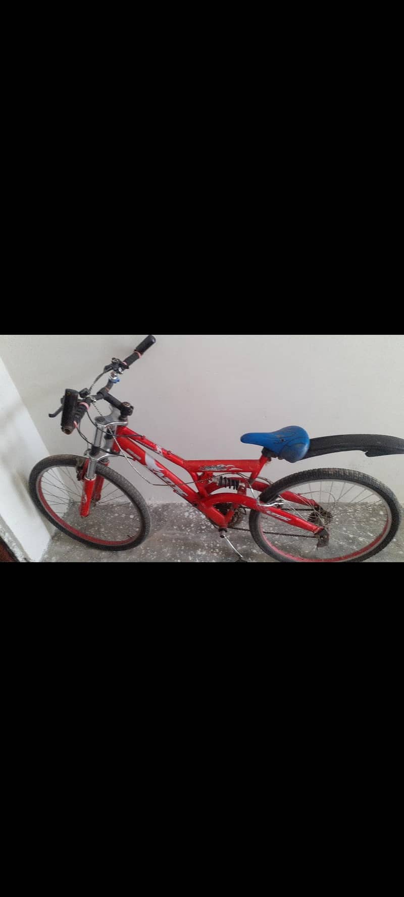 Cycle 3
