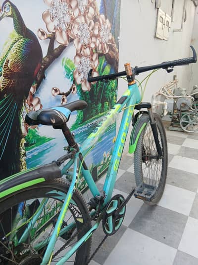 Scoot bicycle