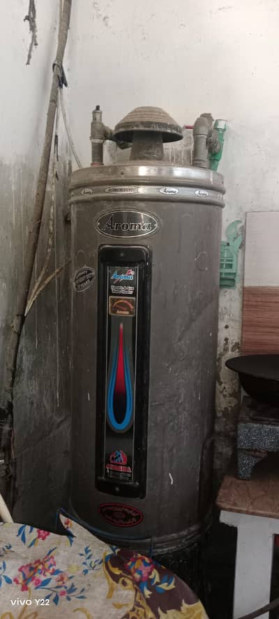 Electric and gas geyser