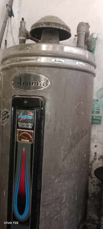 Electric and gas geyser