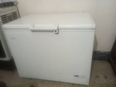 single door freezer