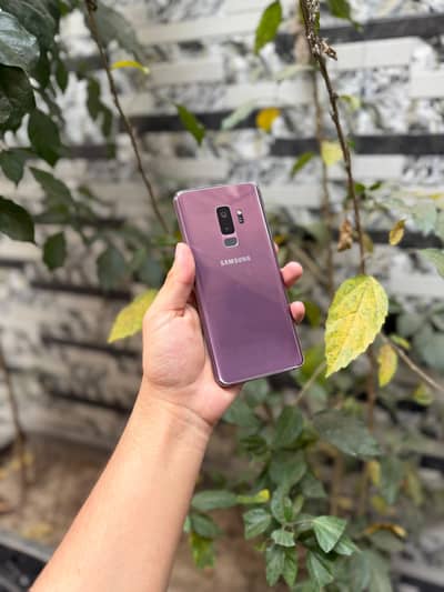 Samsung S9 Plus Official Pta Approved Dual Sim 6/128gb Urgent Sale
