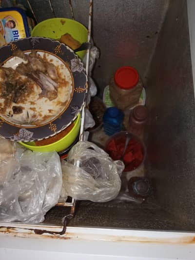 Seep Freezer for Sale