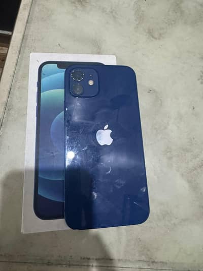 iPhone 12 Ptarmigan approved