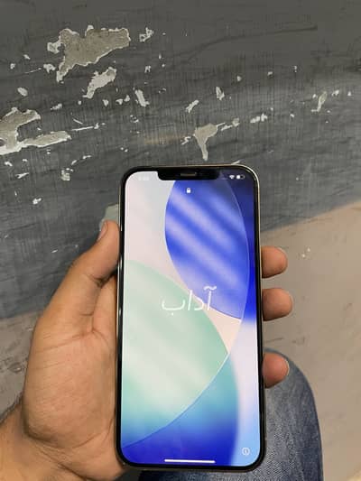 iphone 12Pro max PTA