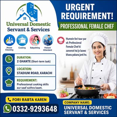 universal domestic servant and service's