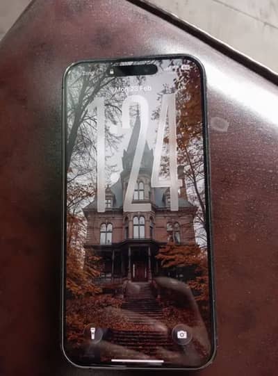 Iphone 14 pro max 256 gb PTA approved