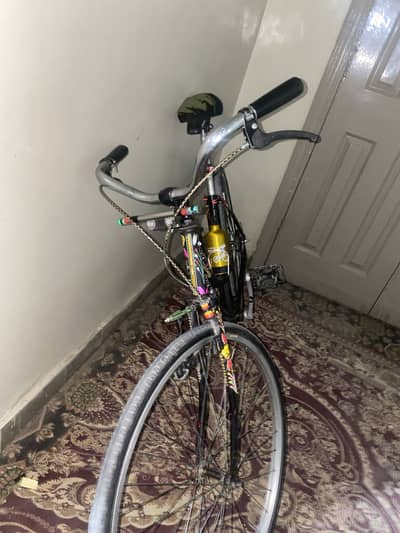 Leadis cycle