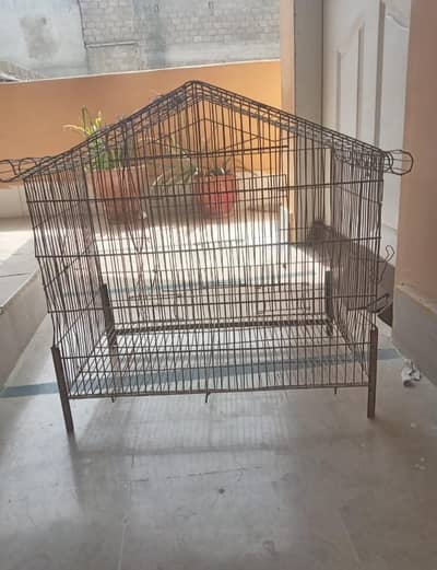 cage for birds