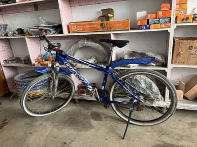 Giant rock4500