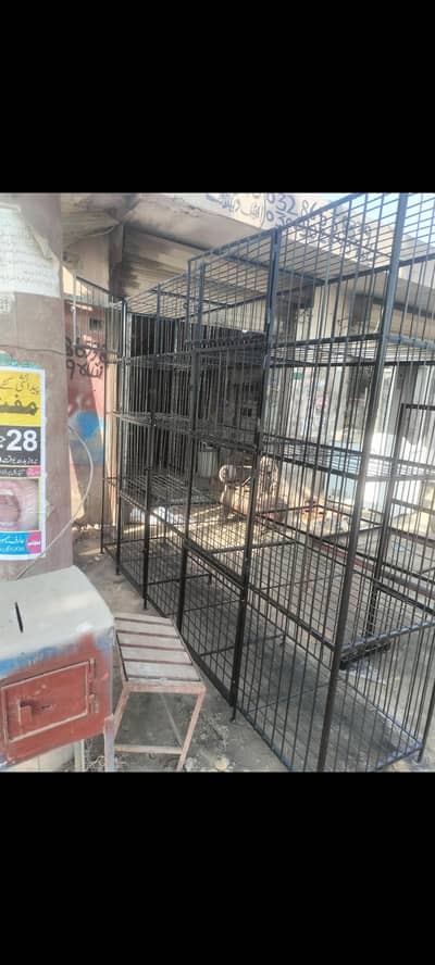 chicken poultry pinjra