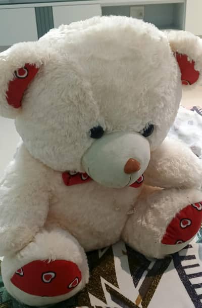 taddy Bear 