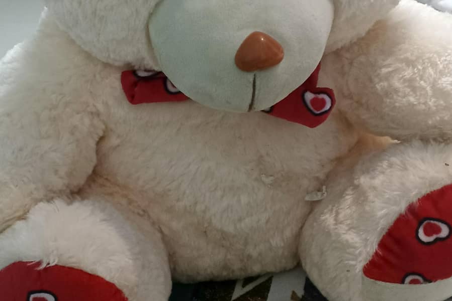 taddy Bear  2