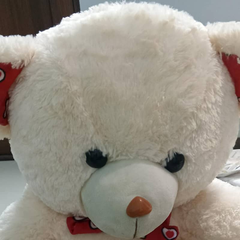 taddy Bear  3