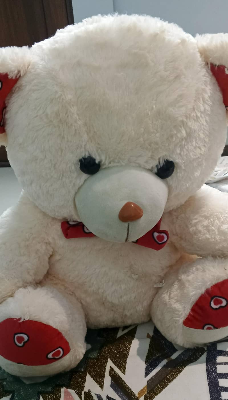 taddy Bear  4