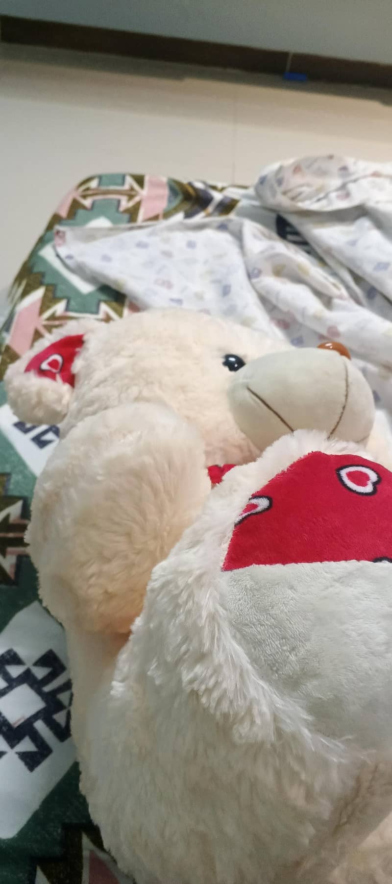 taddy Bear  6
