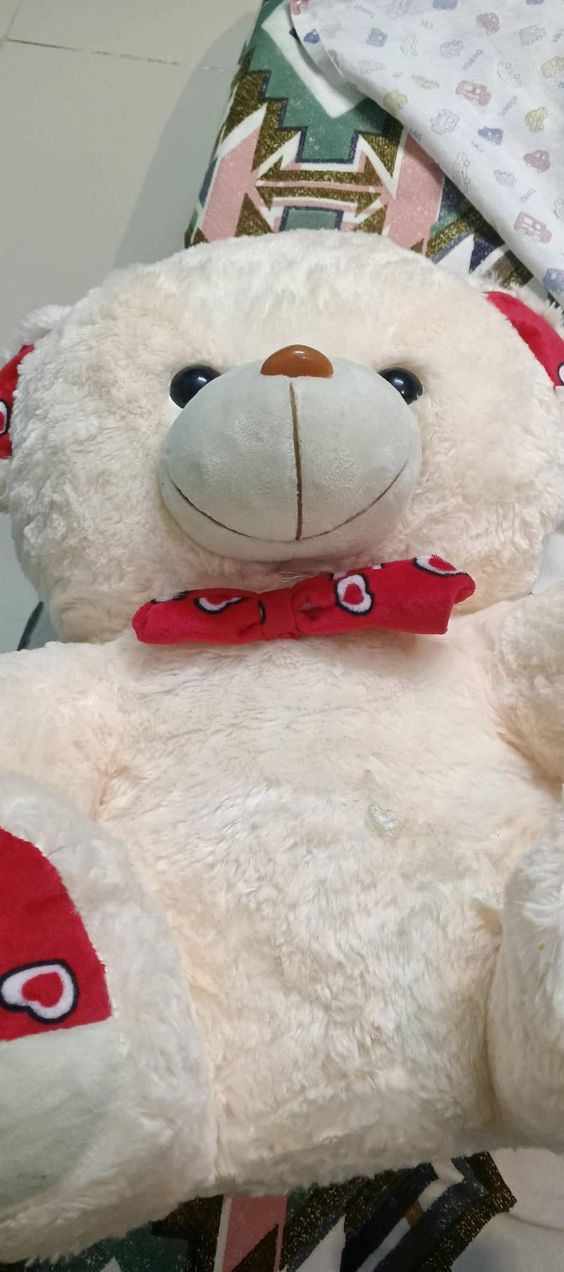 taddy Bear  7