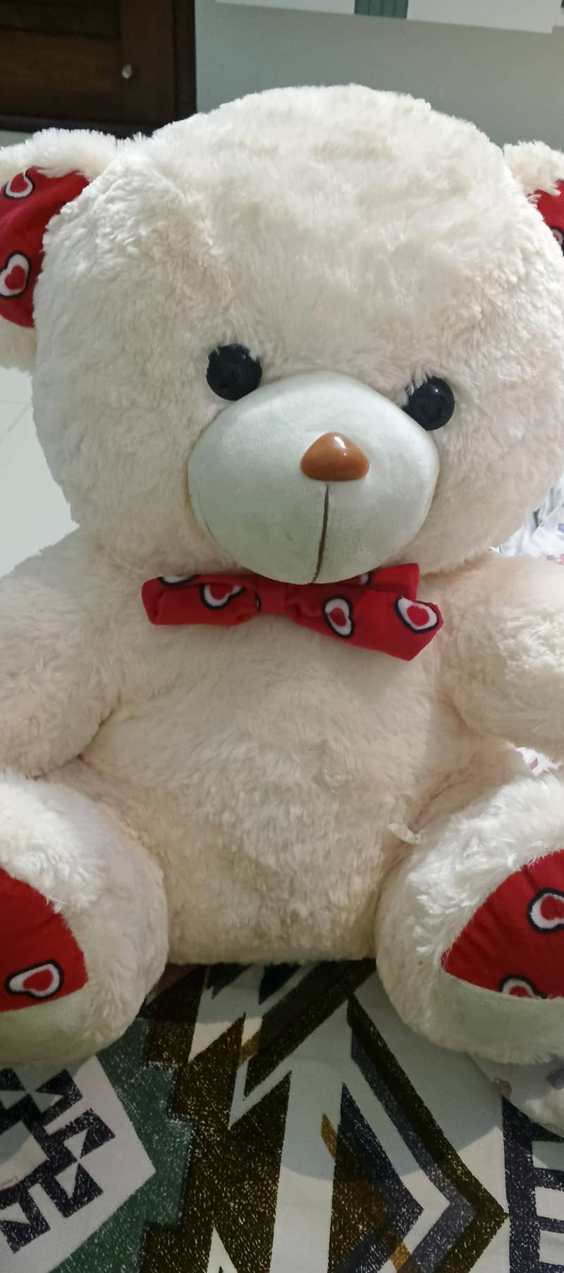 taddy Bear  8