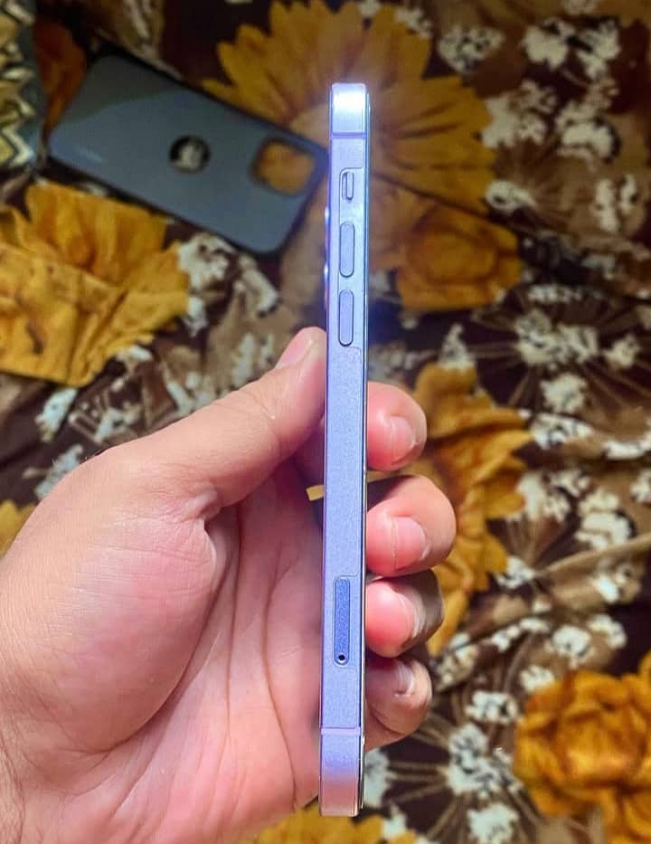 Apple iPhone 12 1