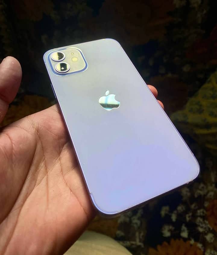 Apple iPhone 12 5
