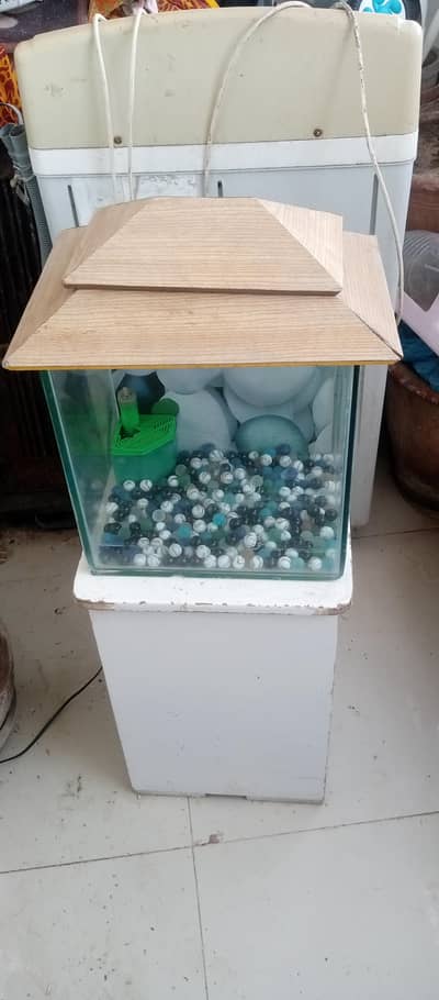 fish equrium small