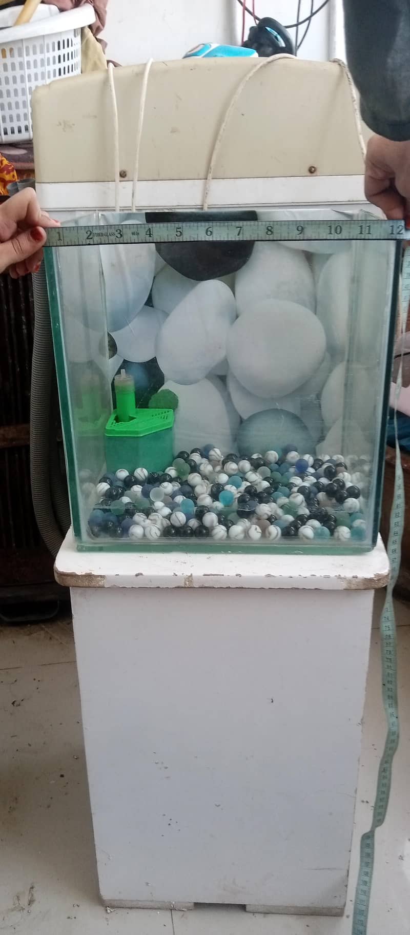 fish equrium small 4