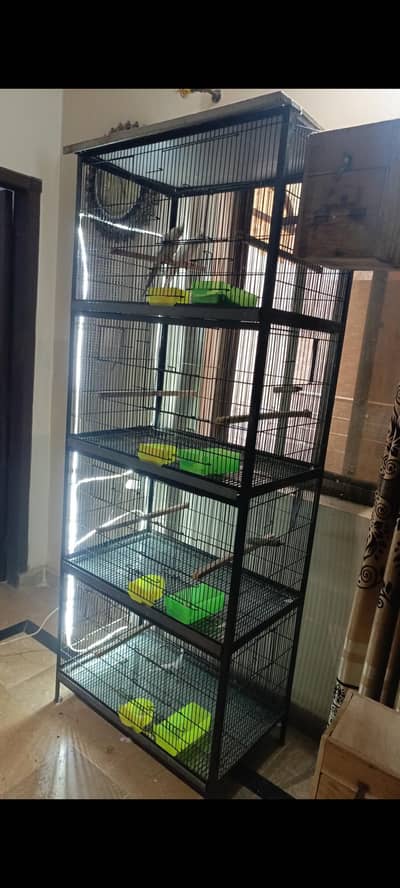 Bird Cage