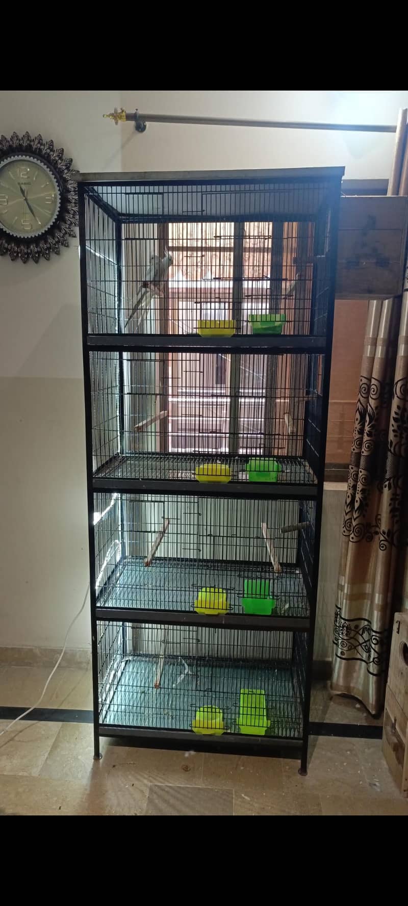 Bird Cage 1