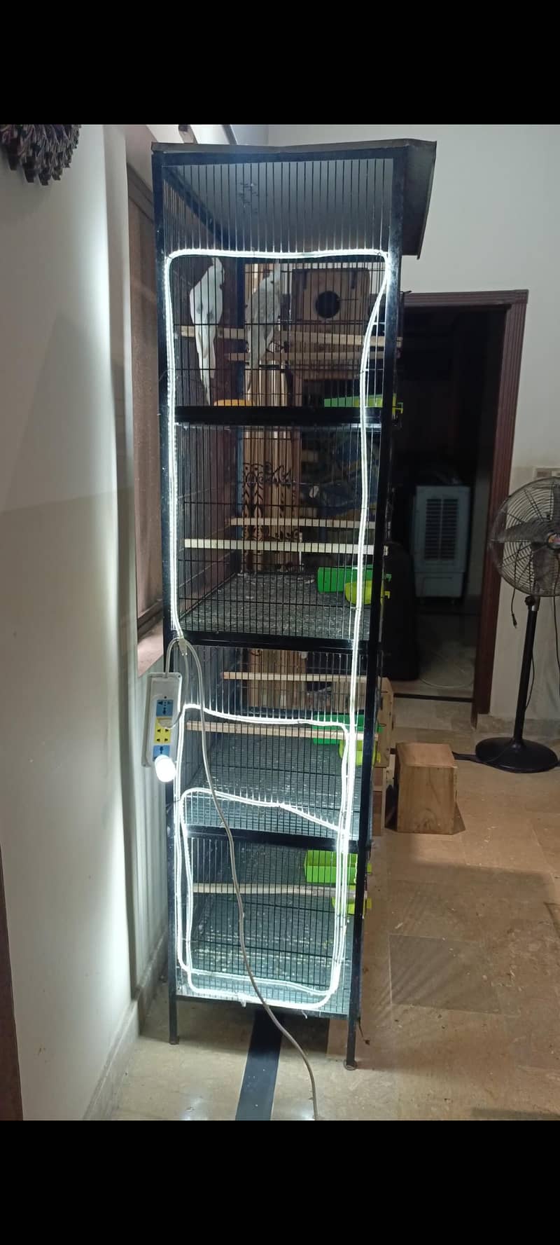 Bird Cage 2