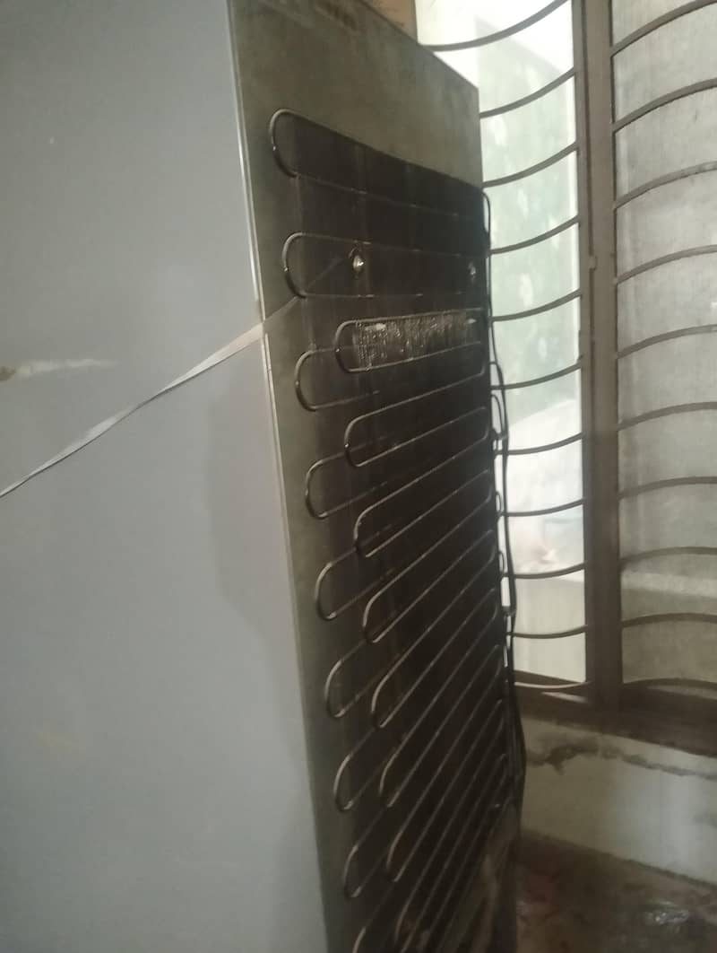 fridge 1