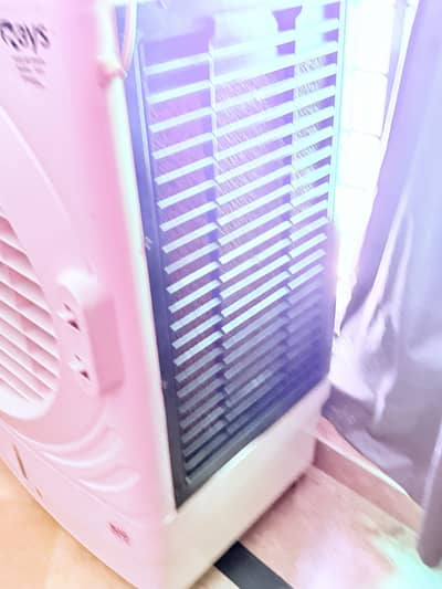 Rays cooler for sale brand new